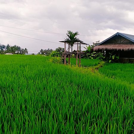 Bayan Exotic Homestay Senaru Exteriér fotografie