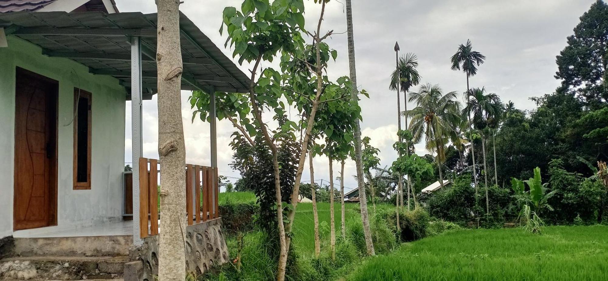 Bayan Exotic Homestay Senaru Exteriér fotografie