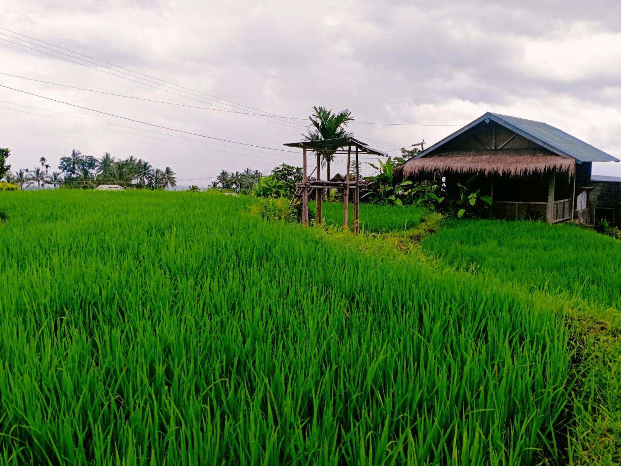 Bayan Exotic Homestay Senaru Exteriér fotografie