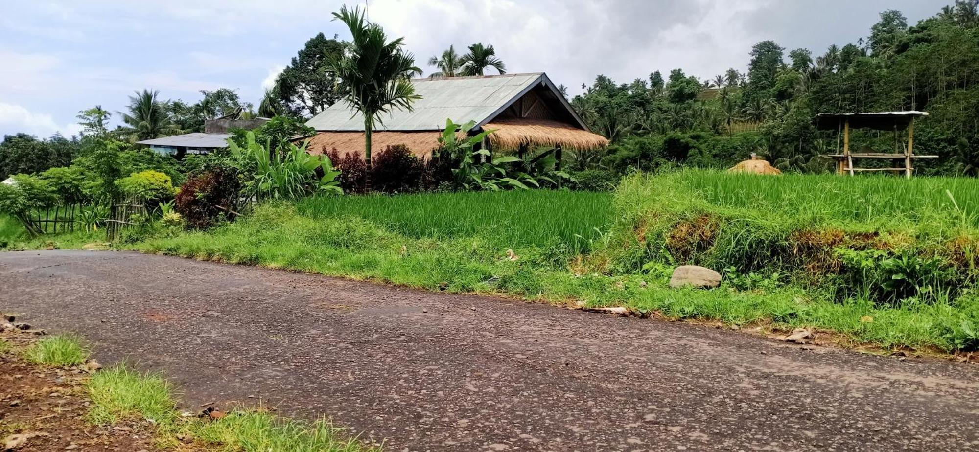 Bayan Exotic Homestay Senaru Exteriér fotografie