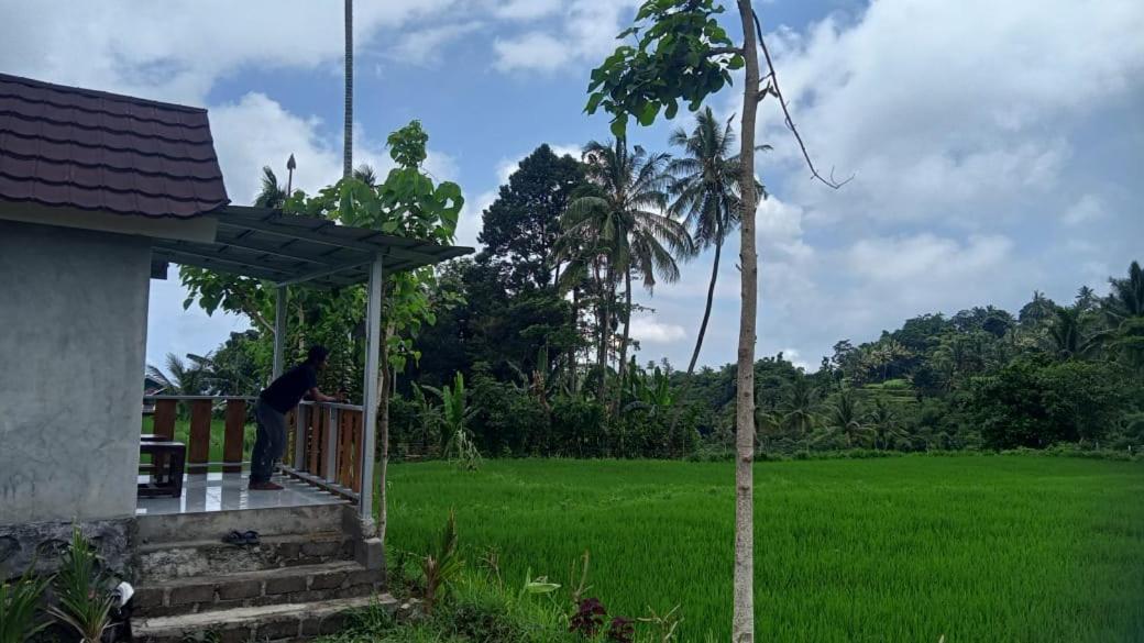 Bayan Exotic Homestay Senaru Exteriér fotografie