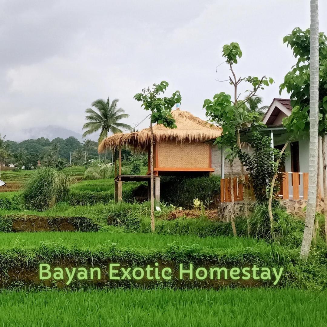 Bayan Exotic Homestay Senaru Exteriér fotografie